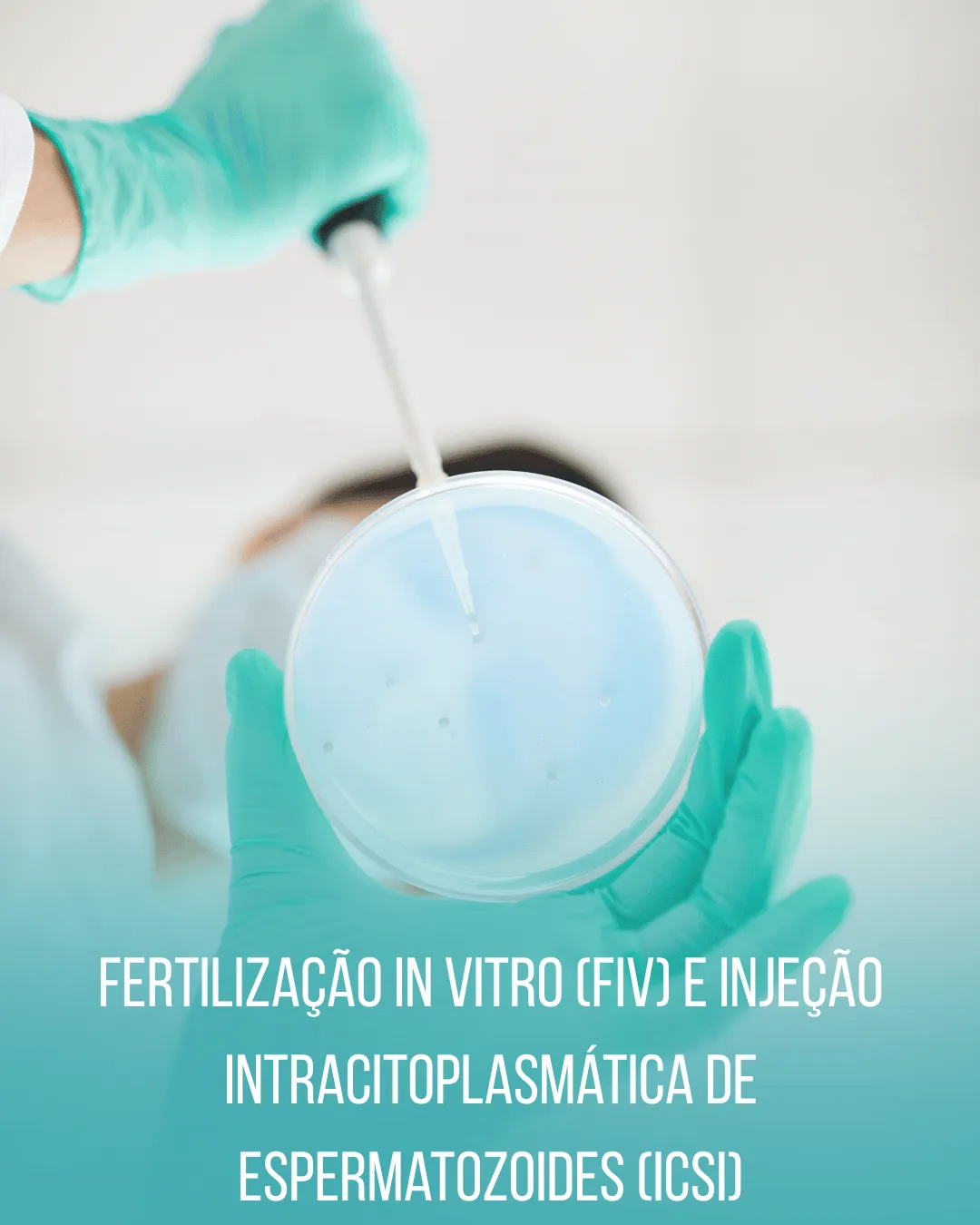 Fertilização in vitro (FIV) e injeção intracitoplasmática de espermatozoides (ICSI)